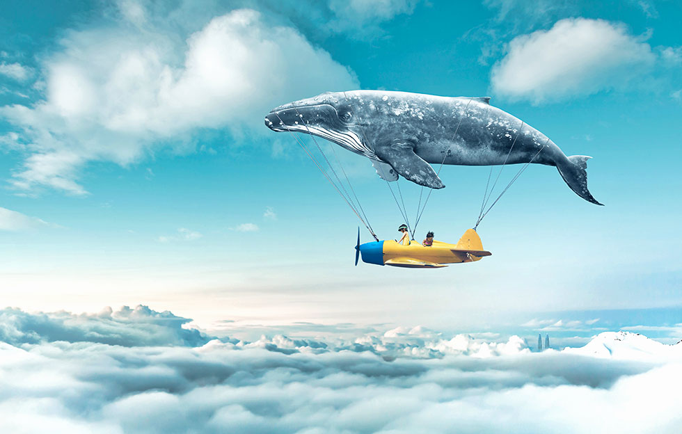 Unwrapping the Fun Secrets of Your Favorite Books!