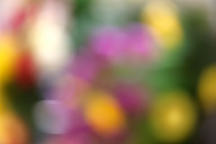 Bokeh Provides Context to the Photograph