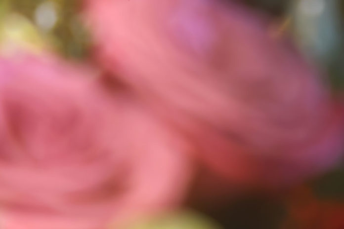 Bokeh Appraisal
