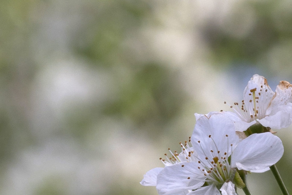 What is a sensor resolving power?