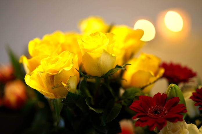 Sensor size, Megapixels, Lens sharpness, and Bokeh