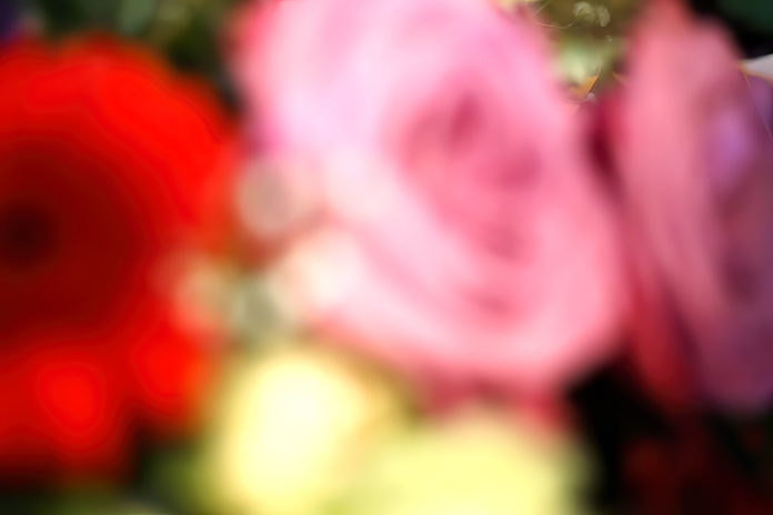 Balancing Bokeh with Overall Image Quality