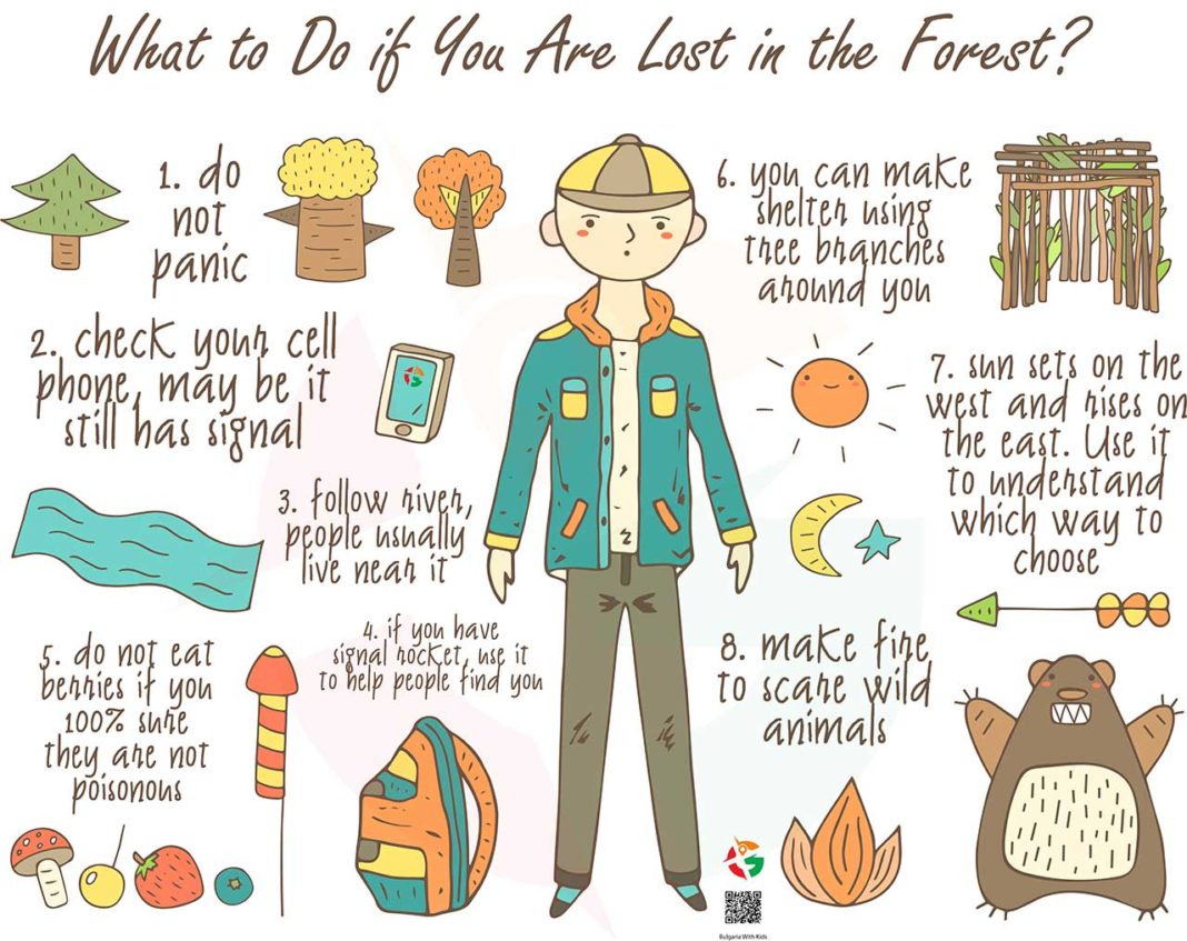 What to Do if You Are Lost in the Forest?
