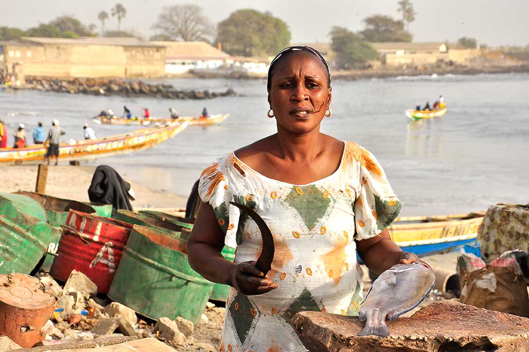 Cultural Adventure Through the World’s Most Iconic Fish Markets