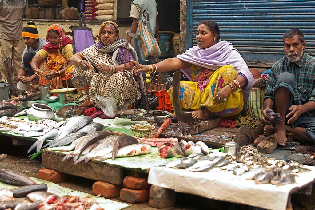 The Fish Markets in Kolkata, West Bengal, India