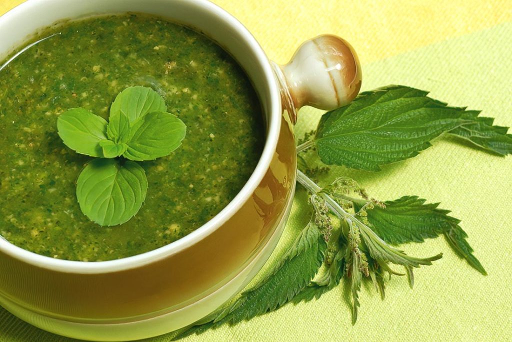 Traditional Bulgarian Creamy Nettle Soup