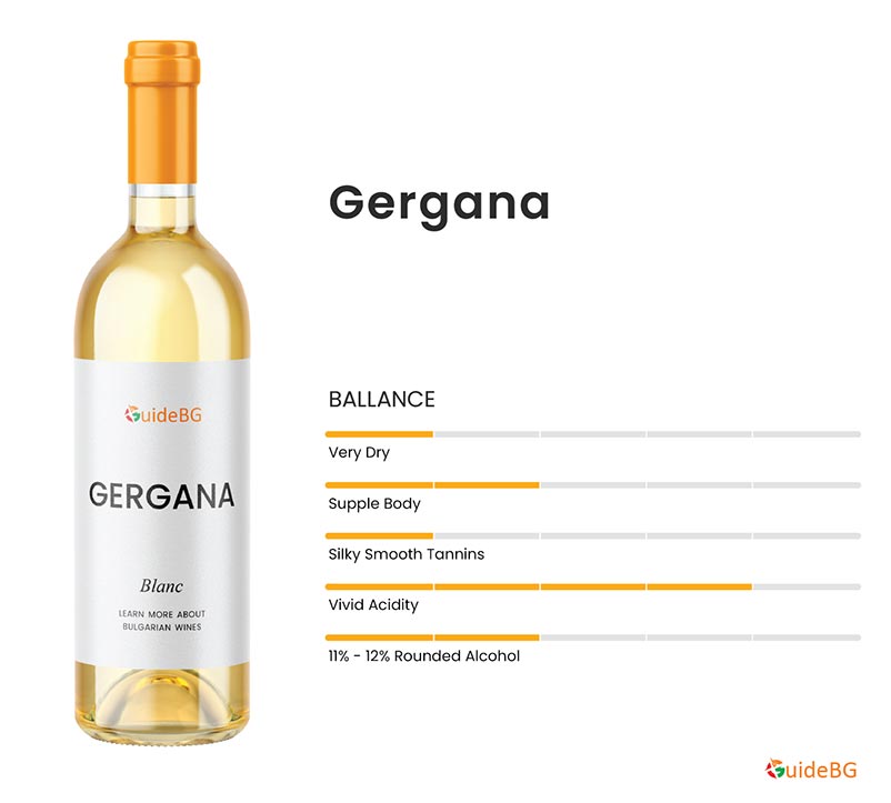 Gergana Wine Introduction