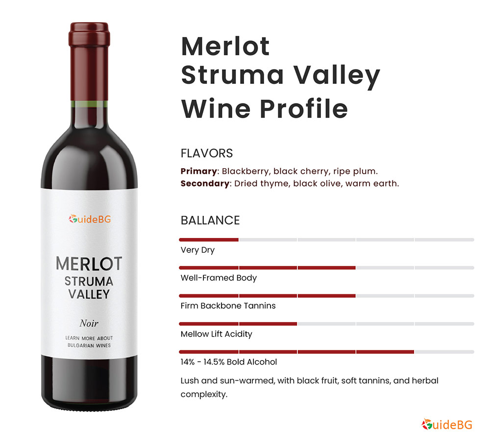 Merlot from the Struma Valley – Herbal, Warm, and Mediterranean