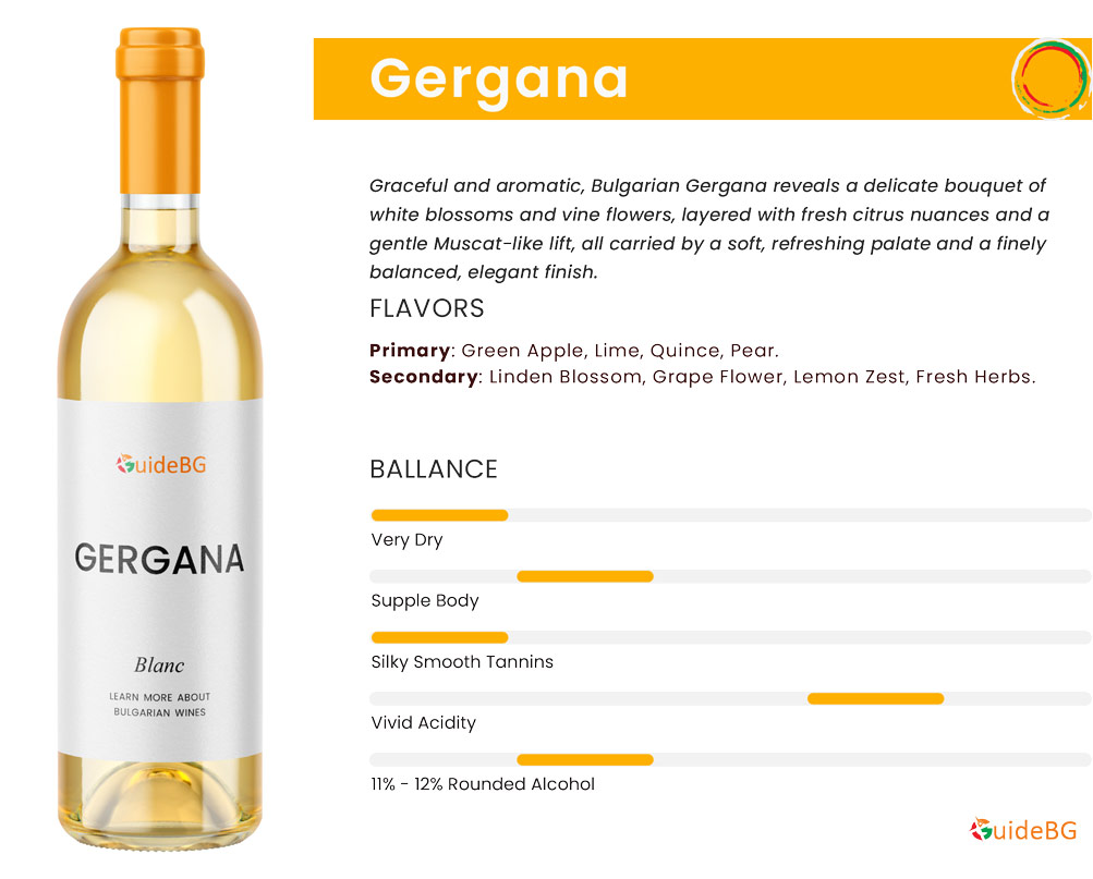 Bulgarian Gergana Wine - Wine Profile