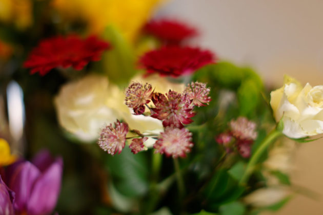Canon EF 50mm f/1.2L - Bokeh