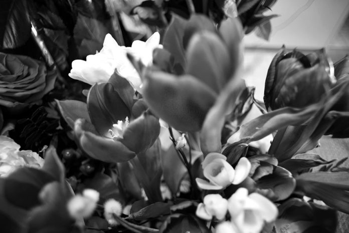 Voigtlander Color Skopar 20mm f/3.5 Lens Review
