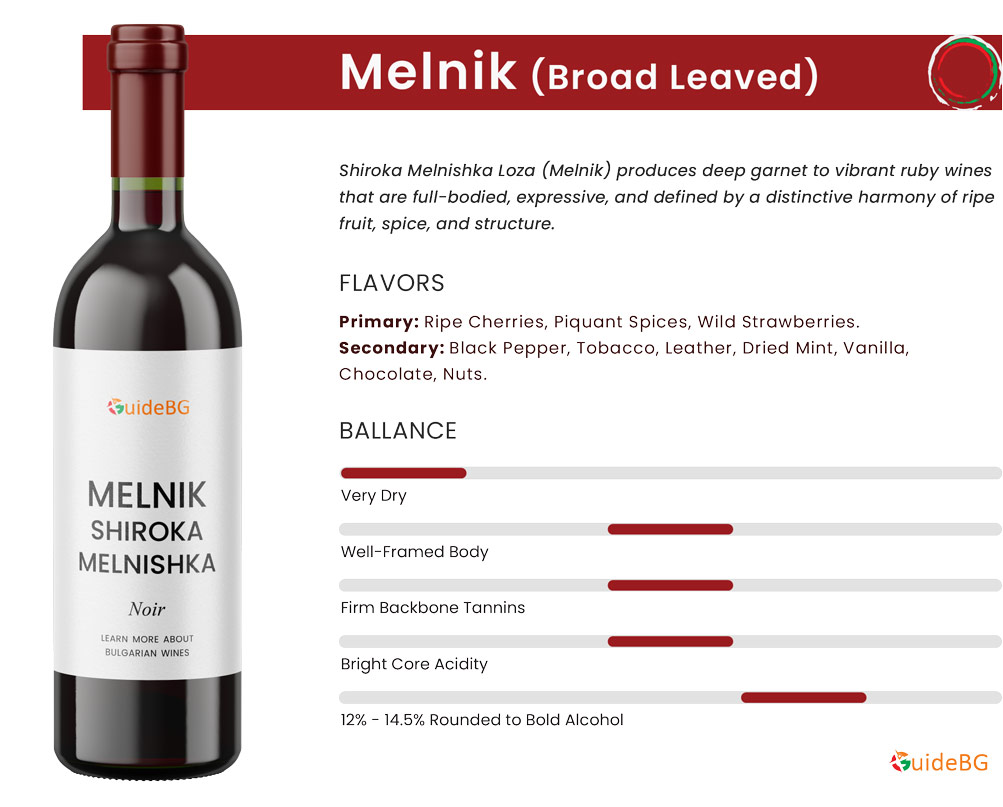 Melnik Broad Leaved Wine Profile