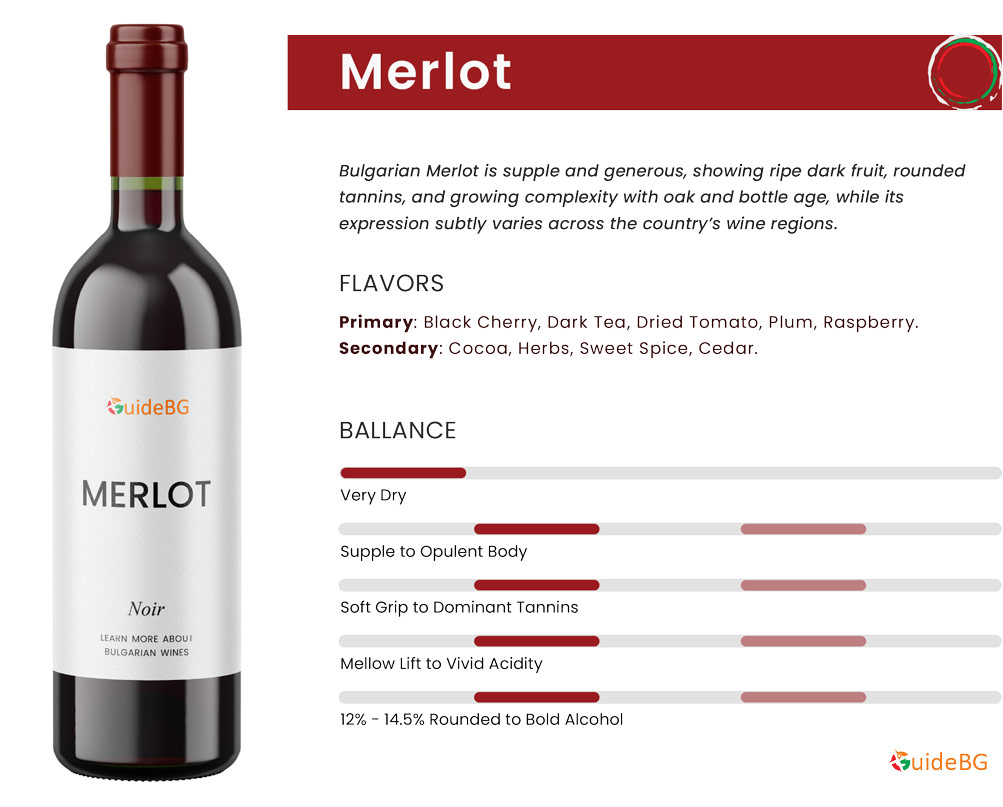 Bulgarian Merlot - Wine Profile