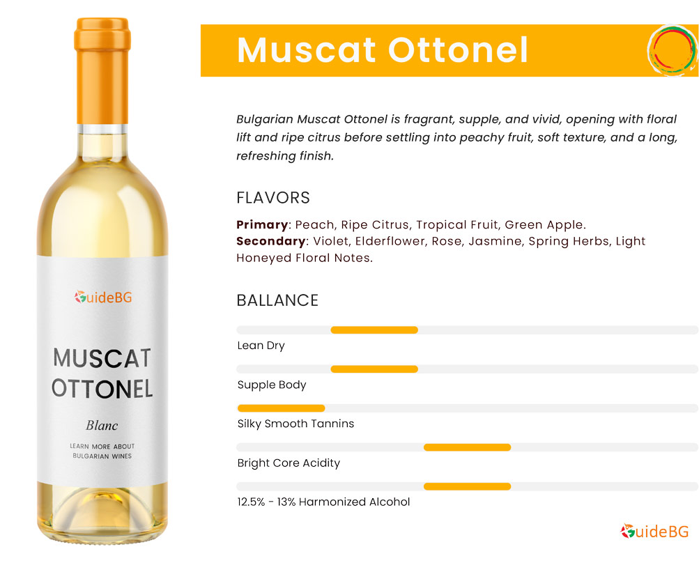 Muscat Ottonel - Wine Profile