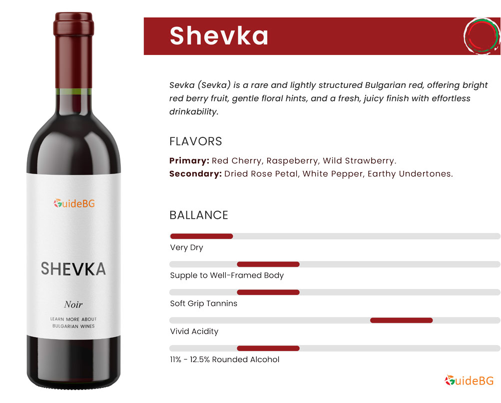 Shevka Wine